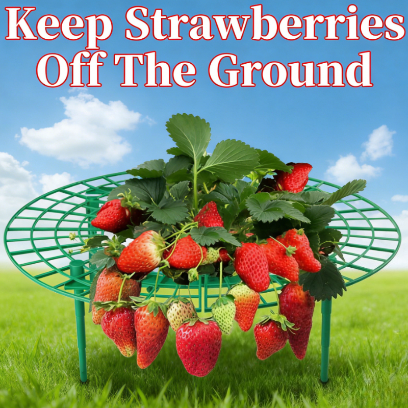 Gardening Tools Rack - 1Pc Strawberry Plant Support Rack –