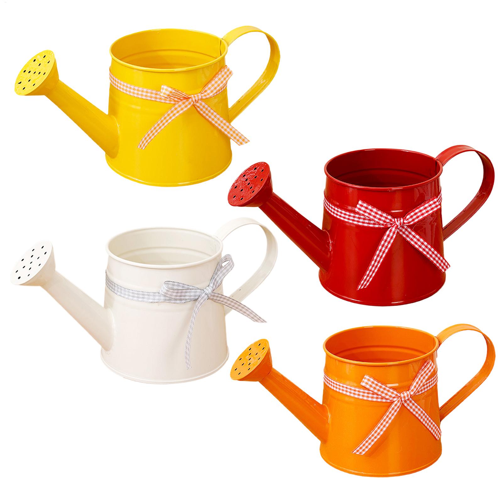 Small Watering Can For Indoor  - Watering Can Long Spout 评论和价格