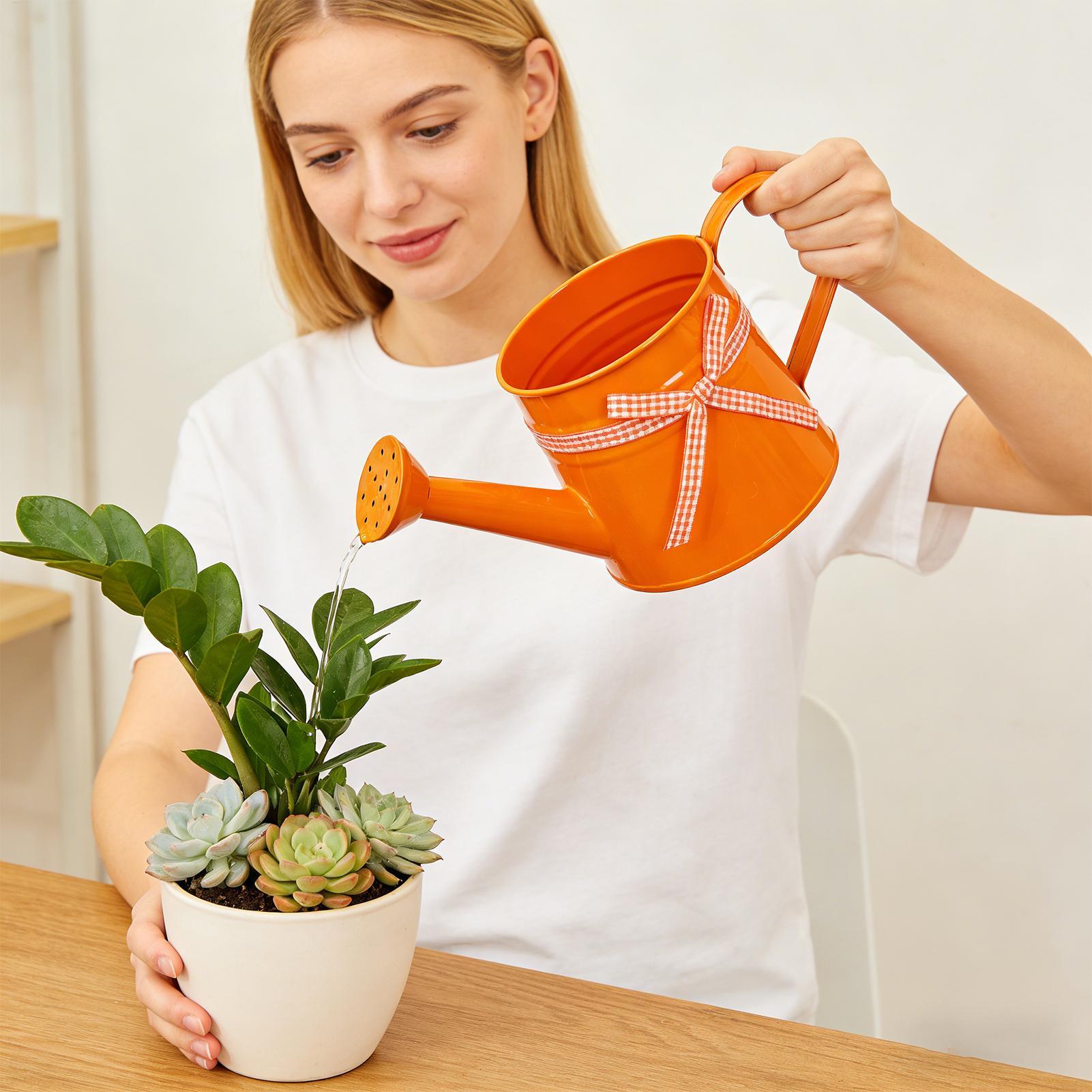 Small Watering Can For Indoor  - Watering Can Long Spout 评论和价格
