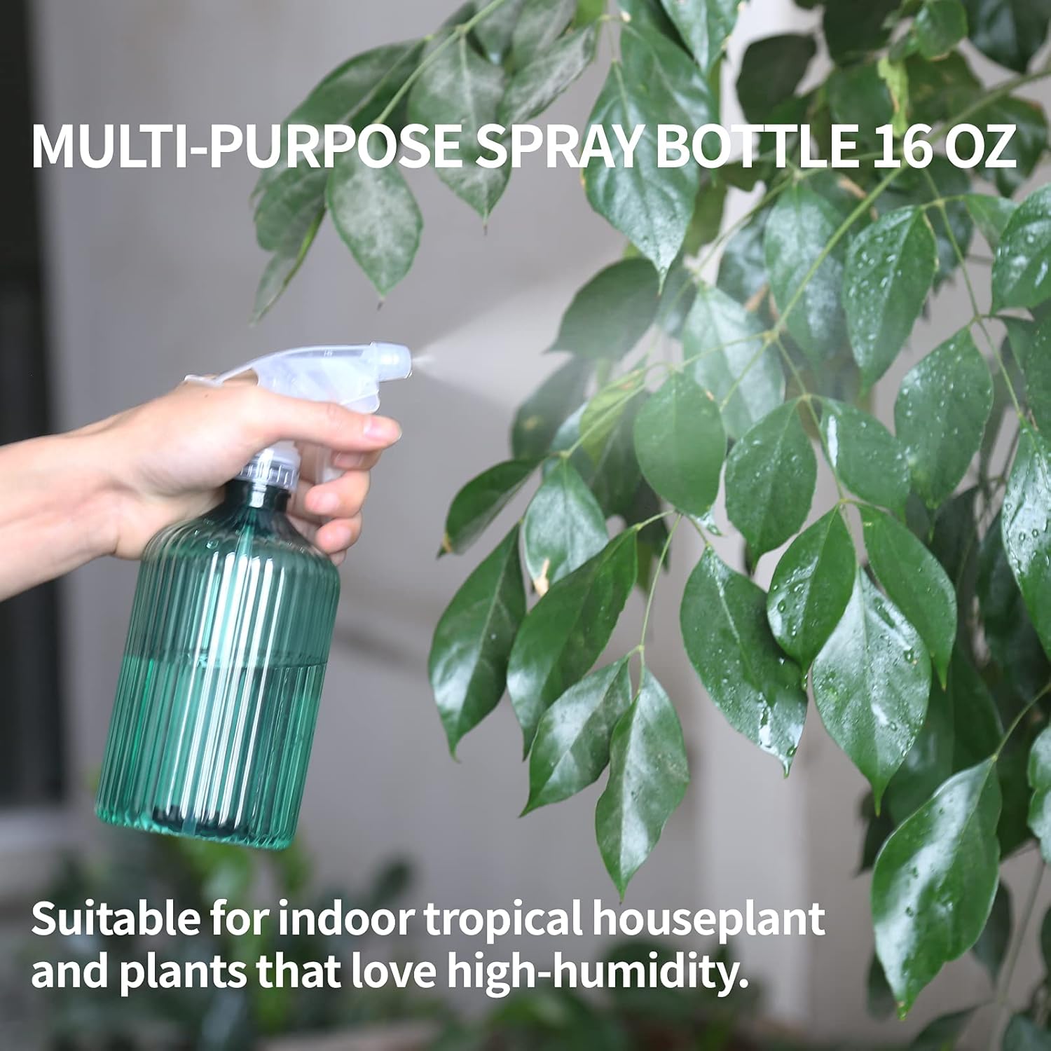 Indoor Plant Watering Can with - Watering Can Long Spout 评论和价格