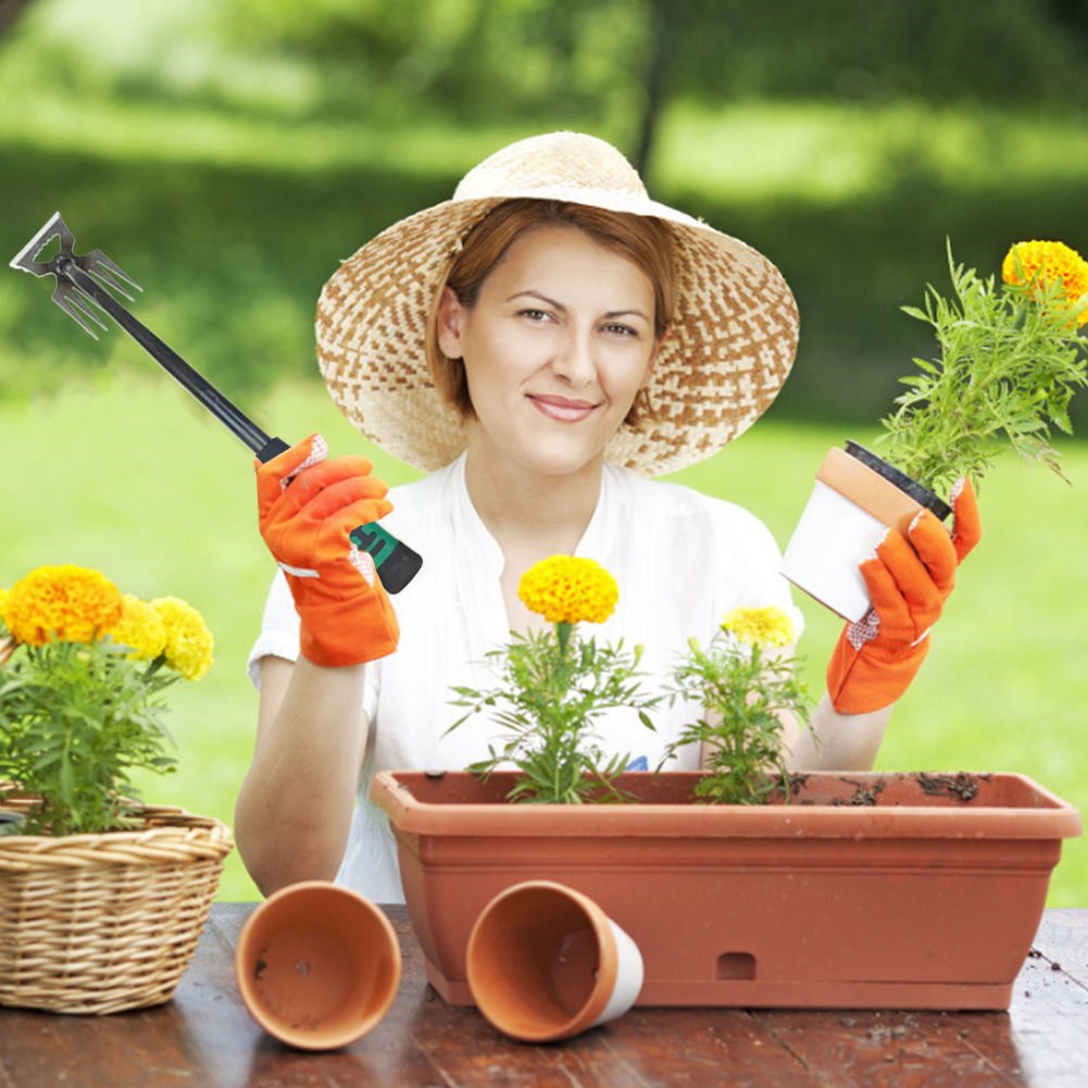 5/6/11 Tines Gardening Hand We - Gardening Tools To Remove Grass 评论和价格