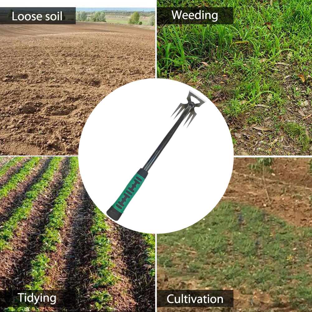 5/6/11 Tines Gardening Hand We - Gardening Tools To Remove Grass 评论和价格