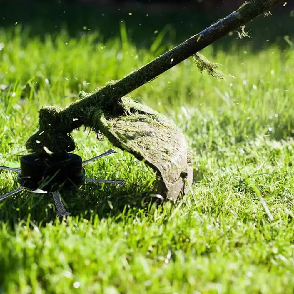 1Pcs 6 inch Universal Weed Bru - Gardening Tools To Remove Grass 评论和价格