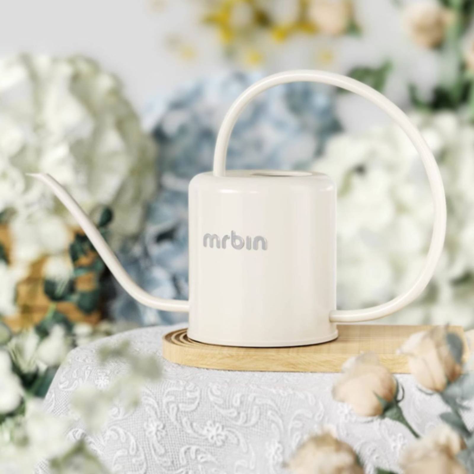 Plant Watering Can Stylish Des - Watering Can Long Spout 评论和价格