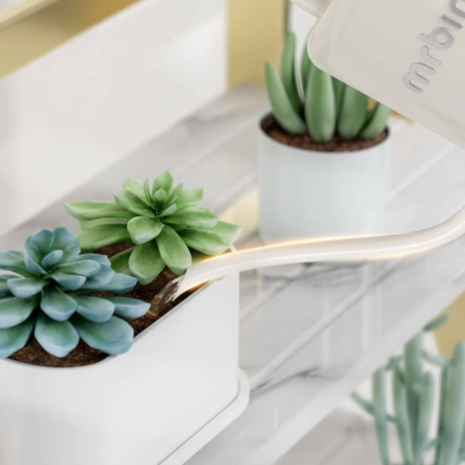 Plant Watering Can Stylish Des - Watering Can Long Spout 评论和价格