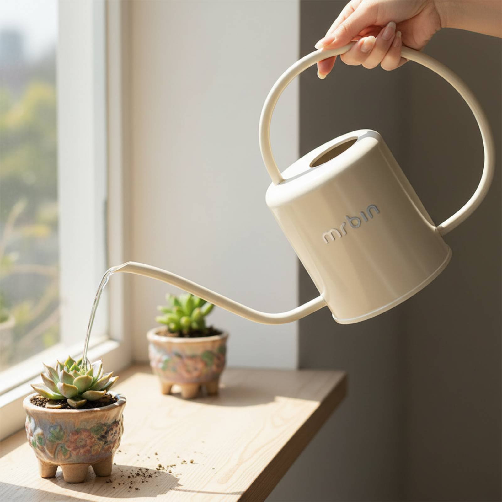 Plant Watering Can Stylish Des - Watering Can Long Spout 评论和价格