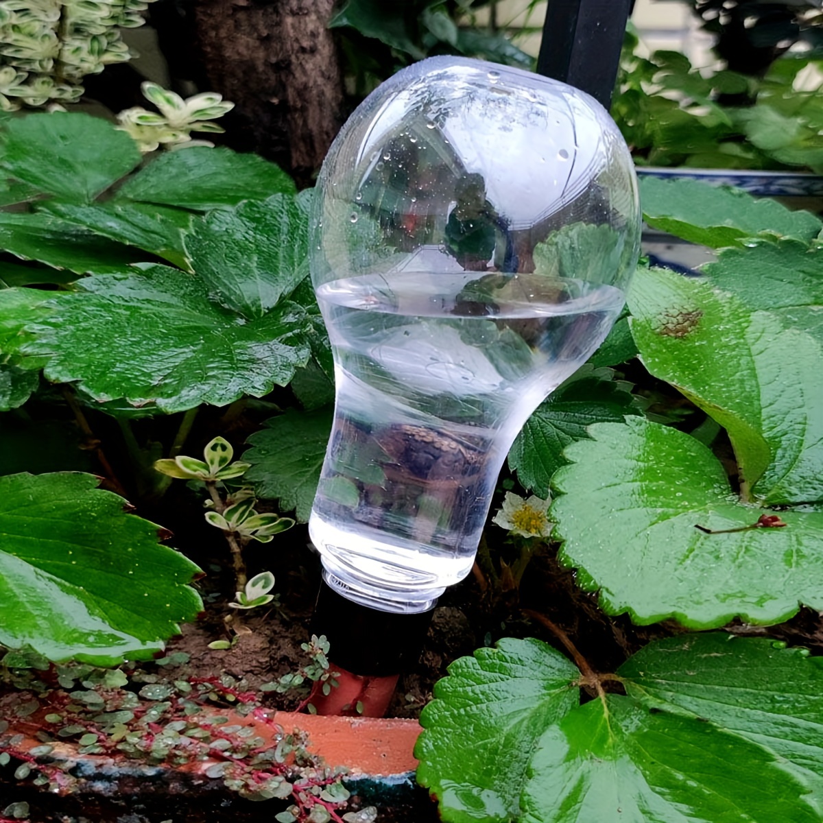 Garden Automatic Watering Tool - Gardening Tools For Home 评论和价格