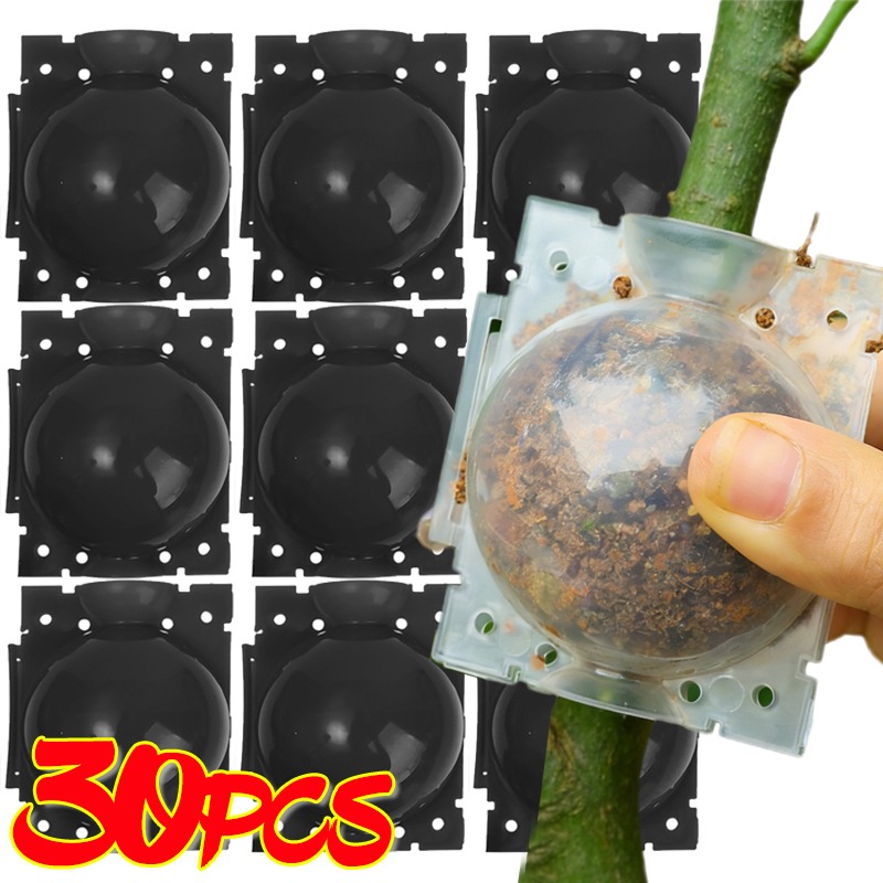 Reusable Plant Rooting Ball Gr - Gardening Tools Rack 评论和价格
