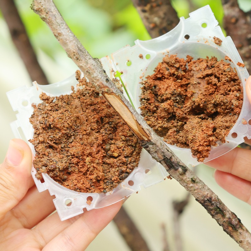 Reusable Plant Rooting Ball Gr - Gardening Tools Rack 评论和价格