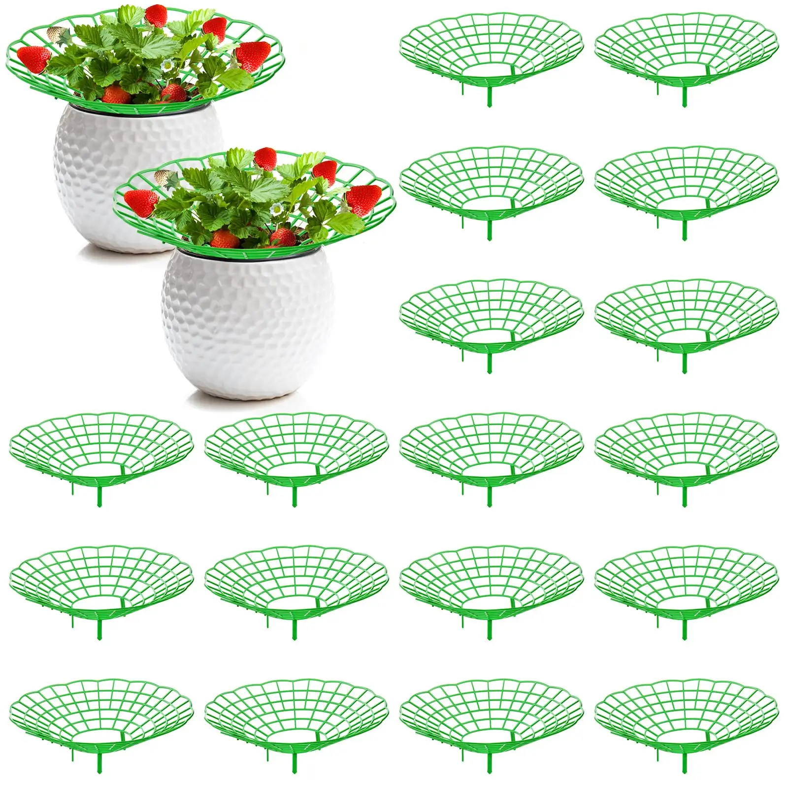 10PCS Vegetable Growing Rack G - Gardening Tools Rack 评论和价格