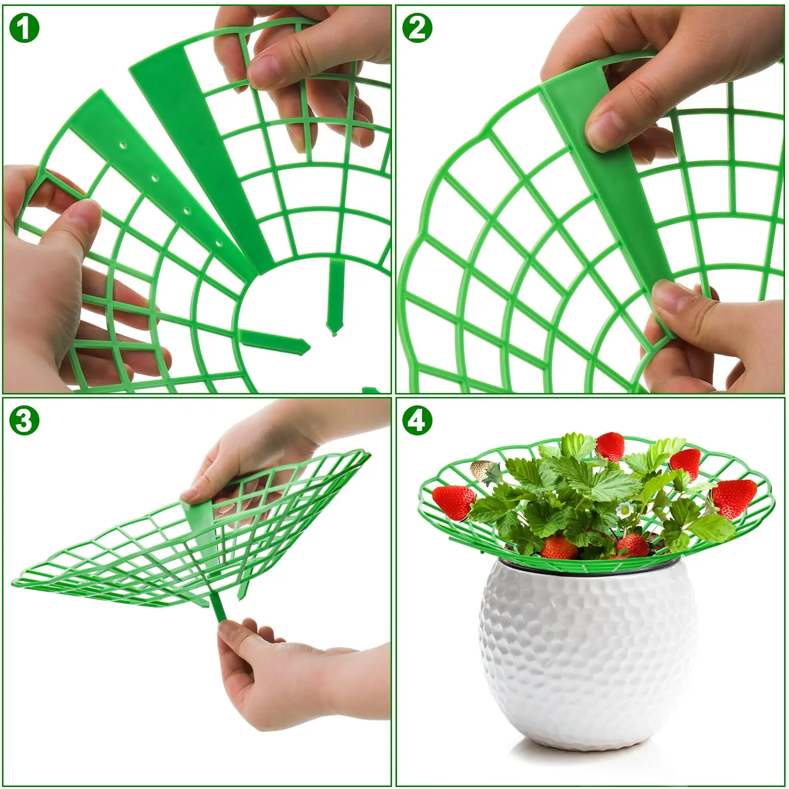 10PCS Vegetable Growing Rack G - Gardening Tools Rack 评论和价格