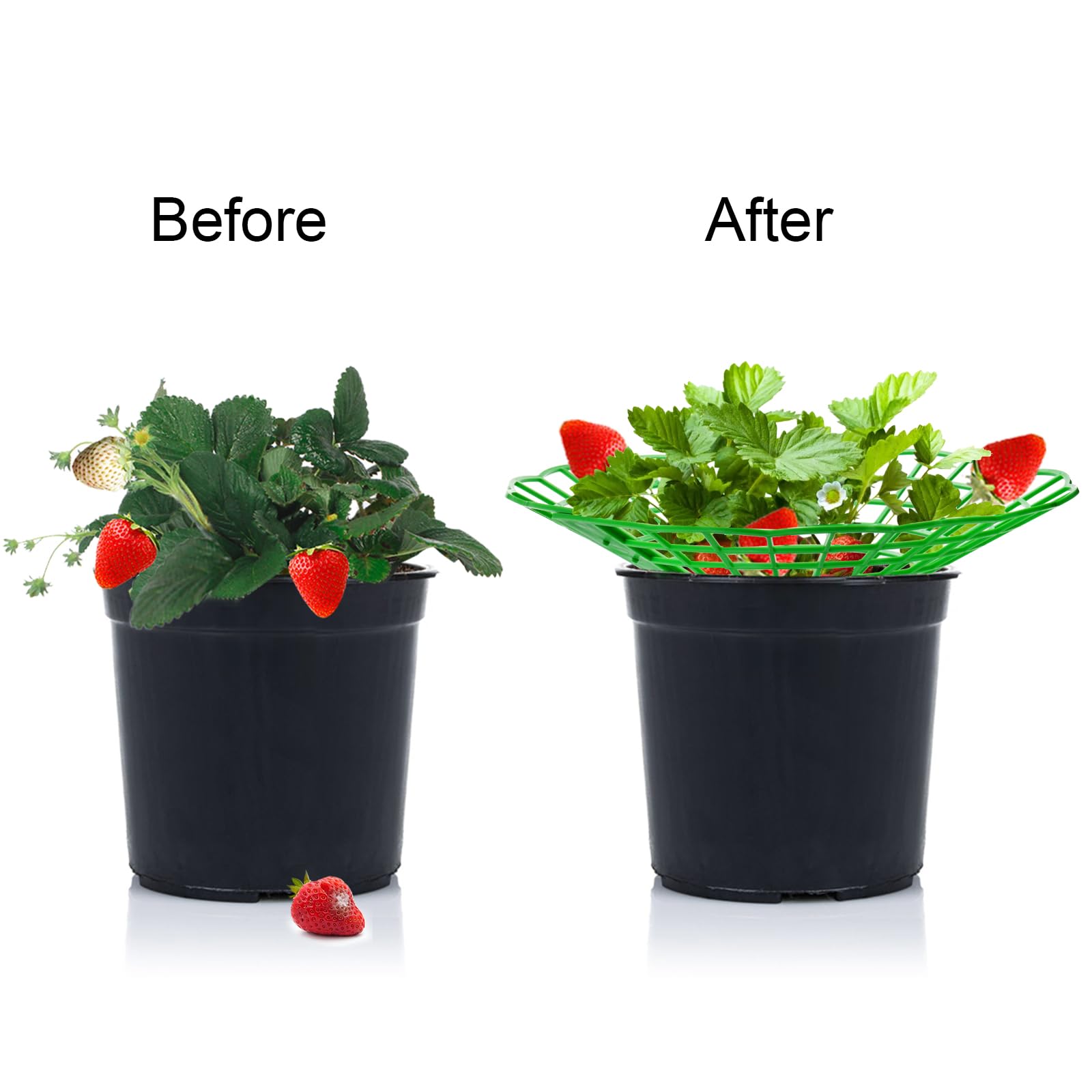 10PCS Vegetable Growing Rack G - Gardening Tools Rack 评论和价格