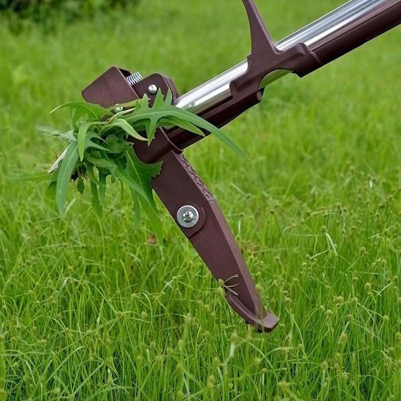 Stand Up Weeder Root Removal T - Gardening Tools To Remove Grass 评论和价格