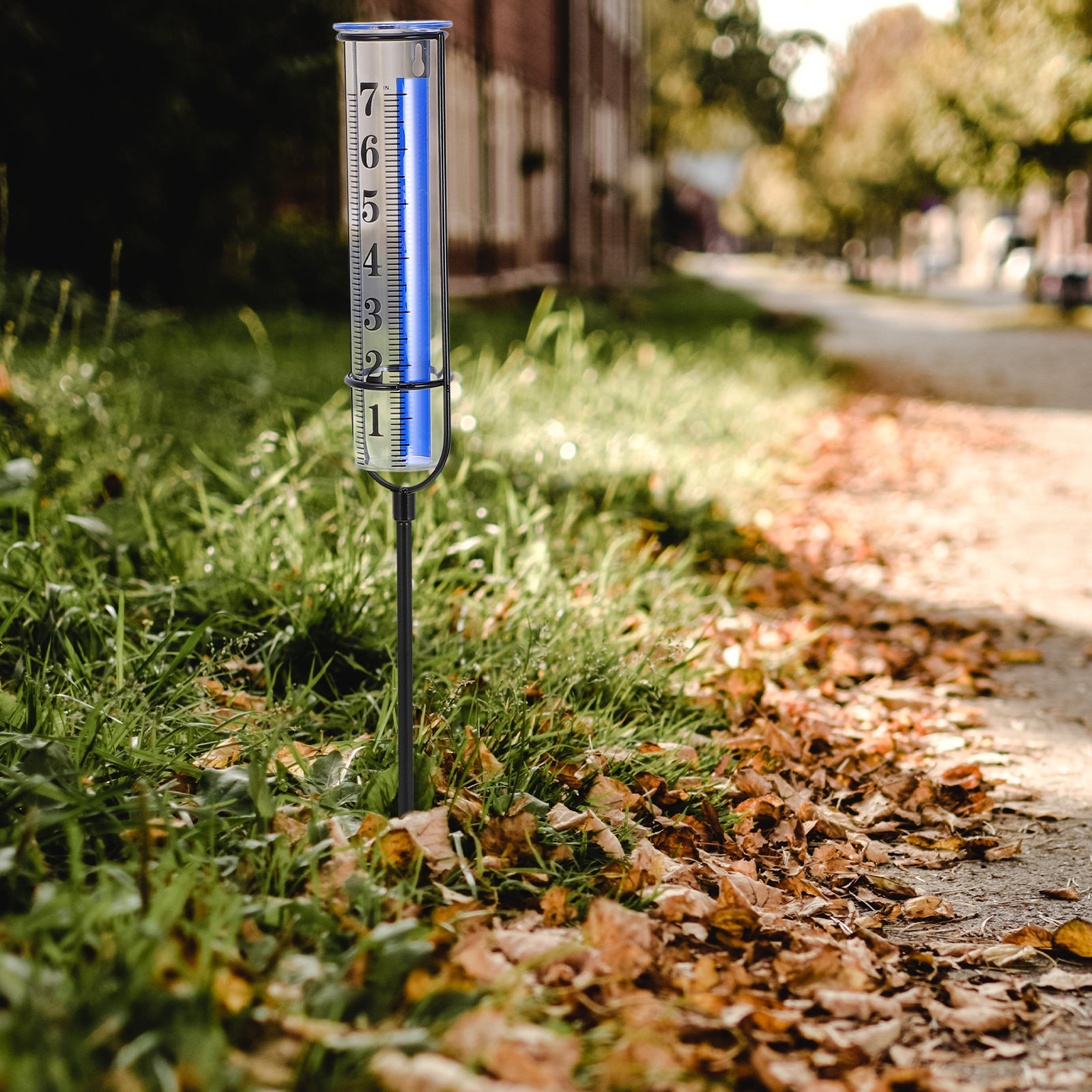 Outdoor Yard Rain Gauge Glass  - Gardening Tools Rack 评论和价格