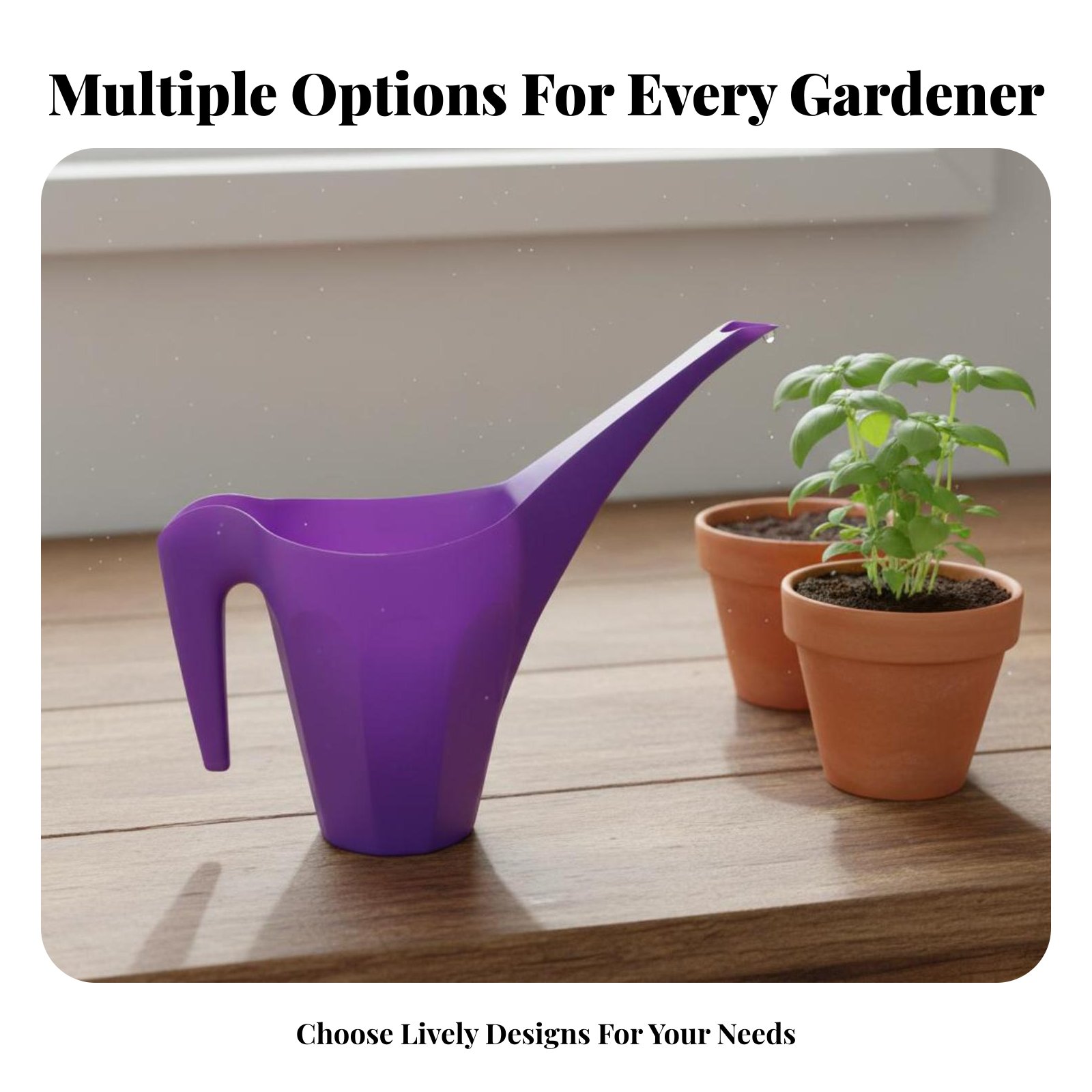 Plastic Watering Can with Spri - Watering Can Long Spout 评论和价格
