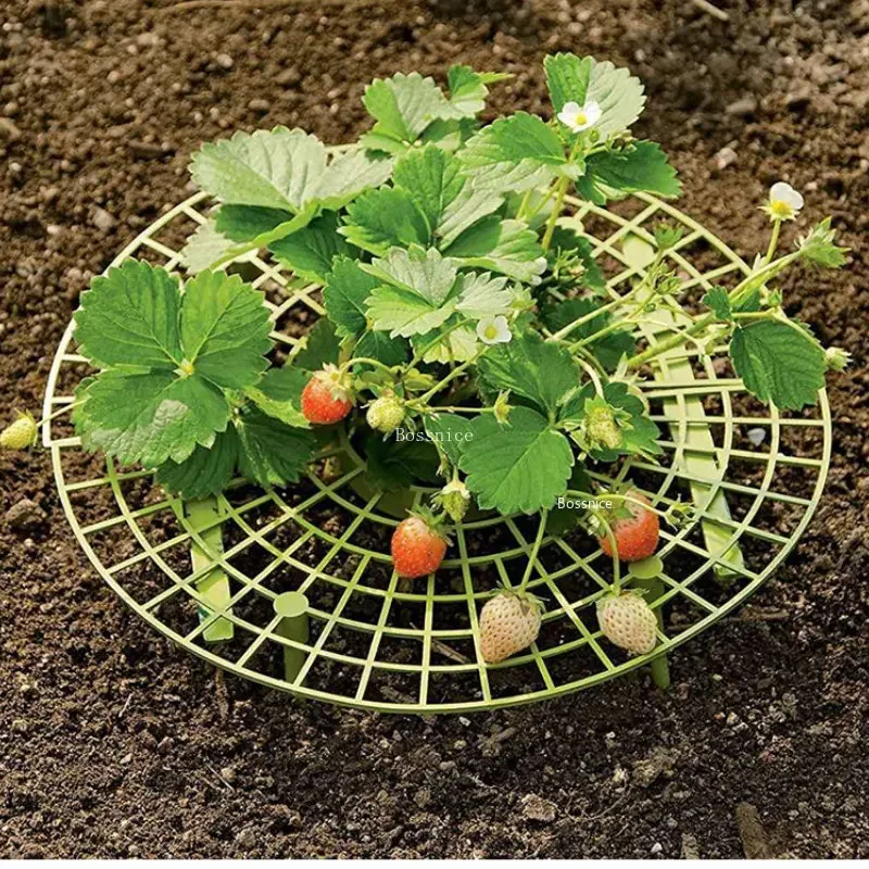 1Pc Strawberry Plant Support R - Gardening Tools Rack 评论和价格