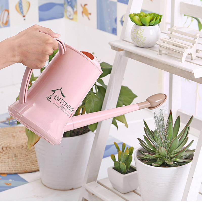 2 Liter Watering Can Flower Pl - Watering Can Long Spout 评论和价格