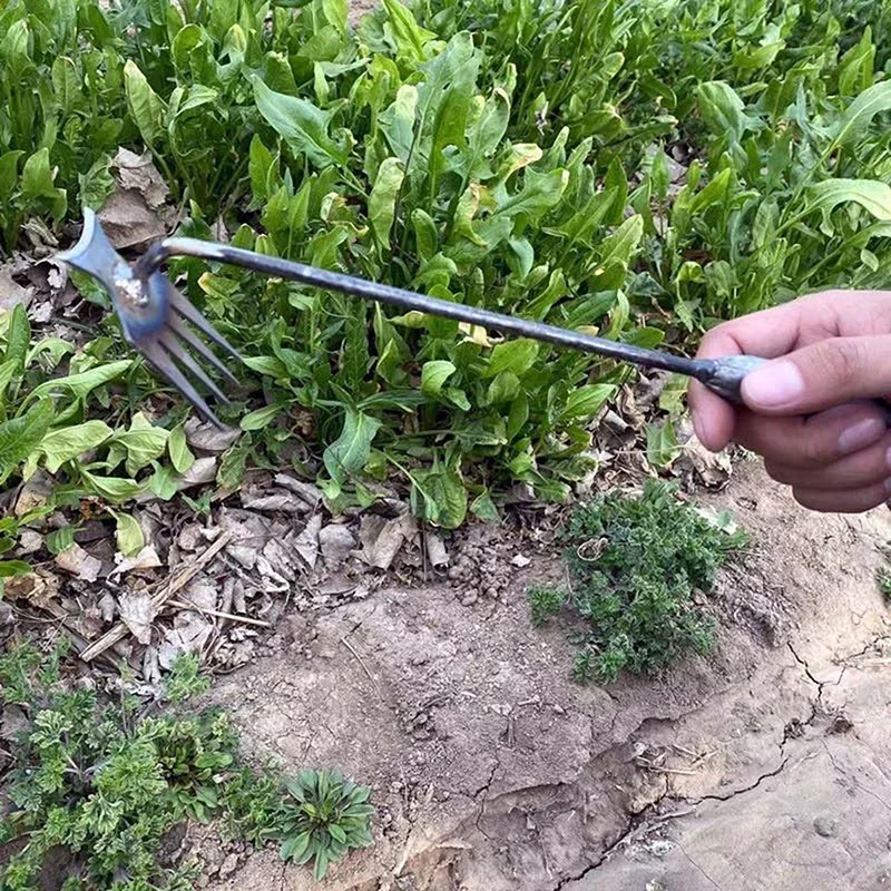 Garden Weeders Grass Hand Weed - Gardening Tools To Remove Grass 评论和价格