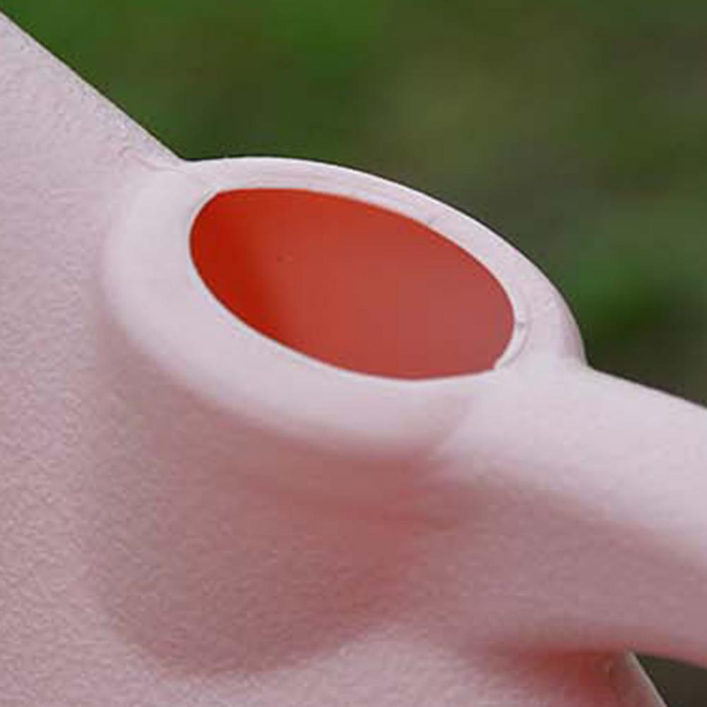 Long Spout Watering Can 1L 2L  - Gardening Tools Target 评论和价格