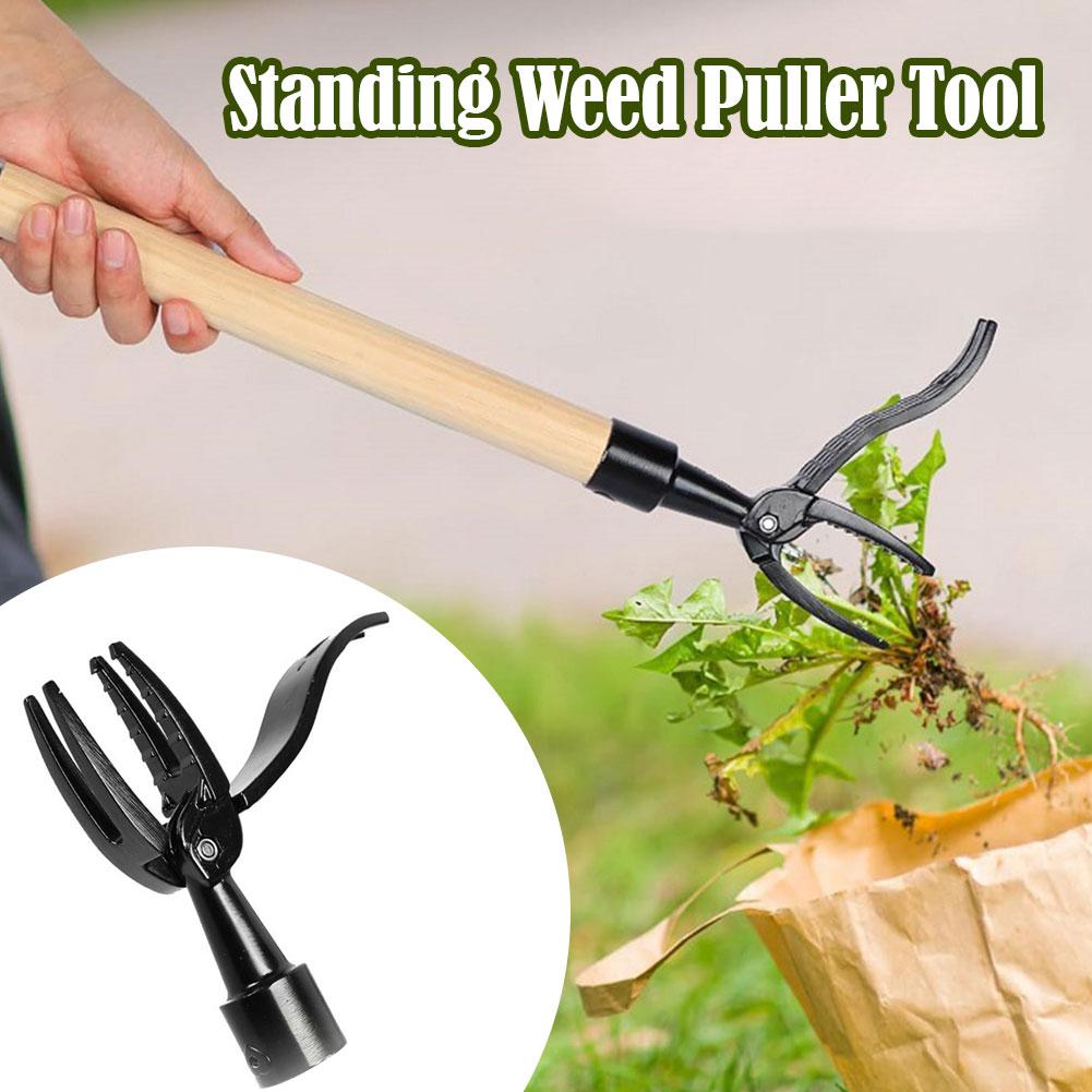 Weed Puller Claw Tool Engineer - Gardening Tools To Remove Grass 评论和价格