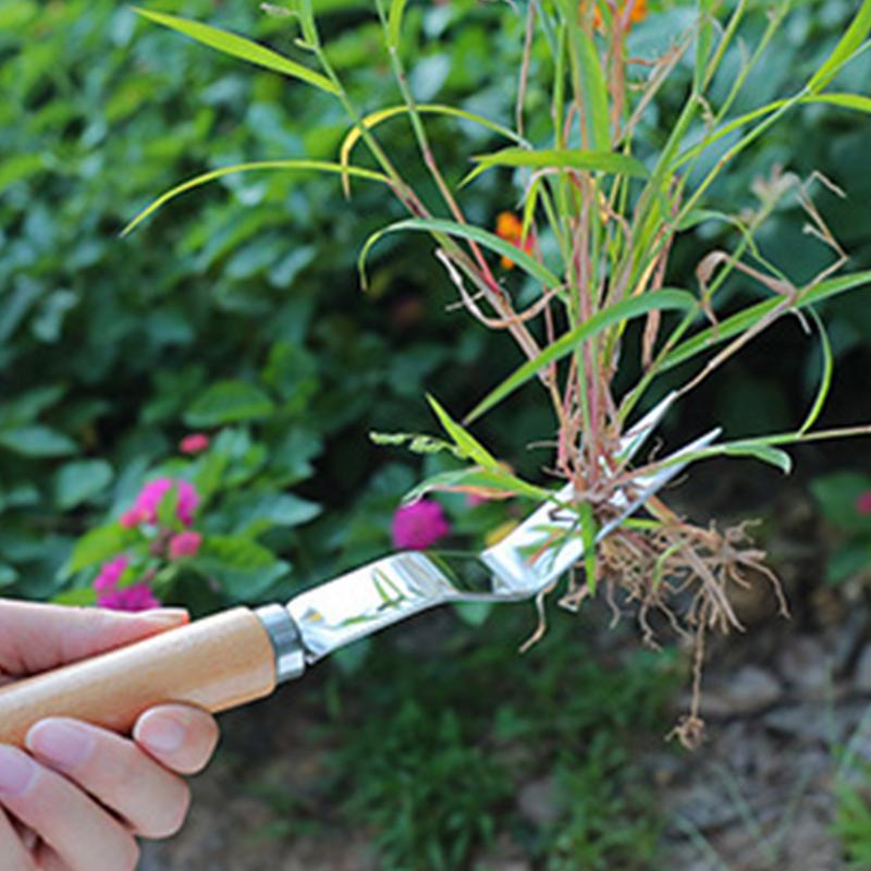 Grass Remover Multifunctional  - Gardening Tools To Remove Grass 评论和价格