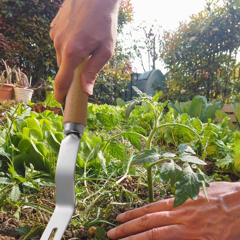 Grass Remover Multifunctional  - Gardening Tools To Remove Grass 评论和价格