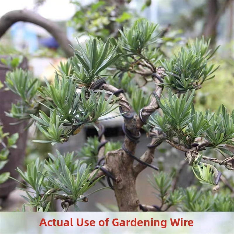 1.5MM Bonsai Wires Aluminum Bo - Gardening Tools For Home 评论和价格