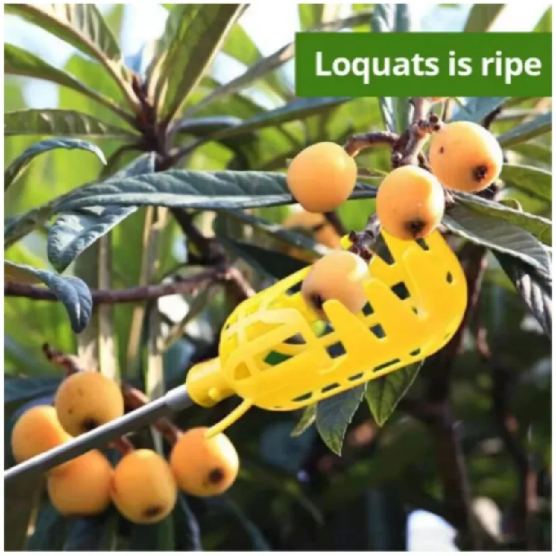 Farm Garden Picking Tools Frui - Gardening Tools Rack 评论和价格