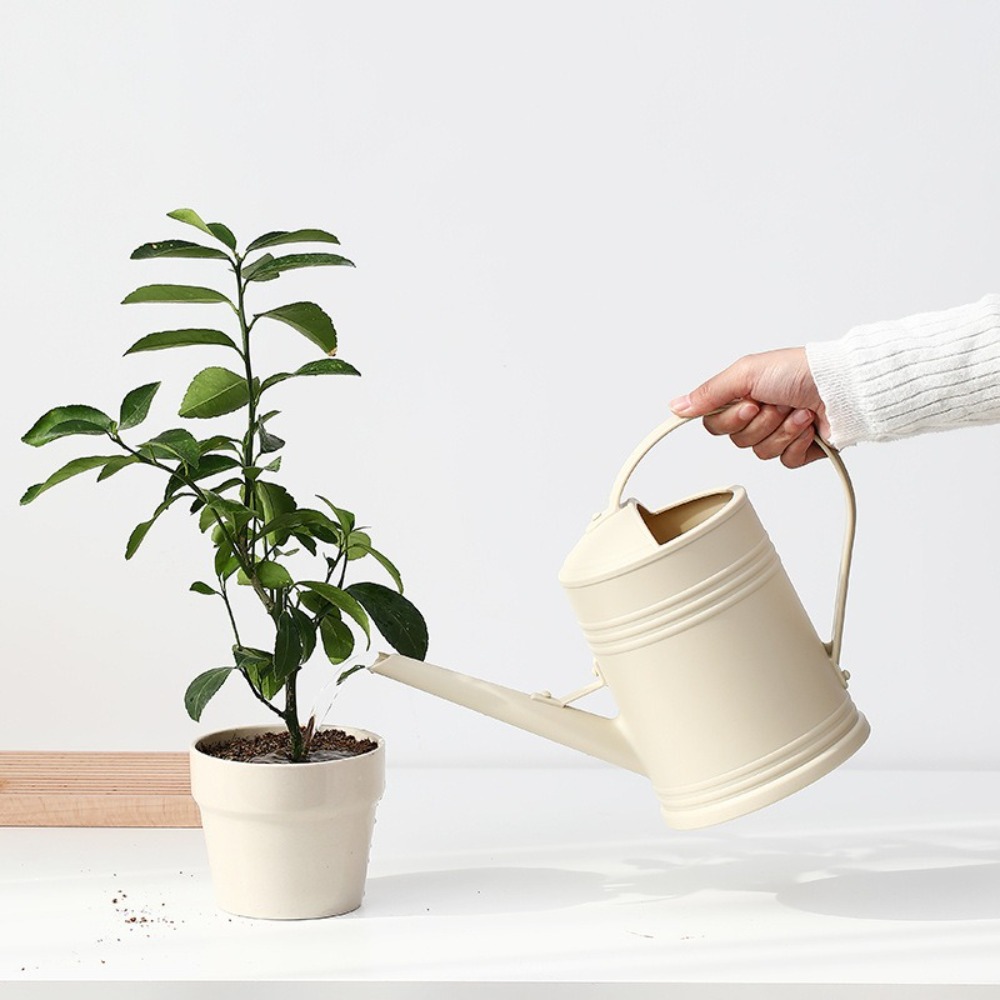2L Watering Can Pot Long Mouth - Watering Can Long Spout 评论和价格