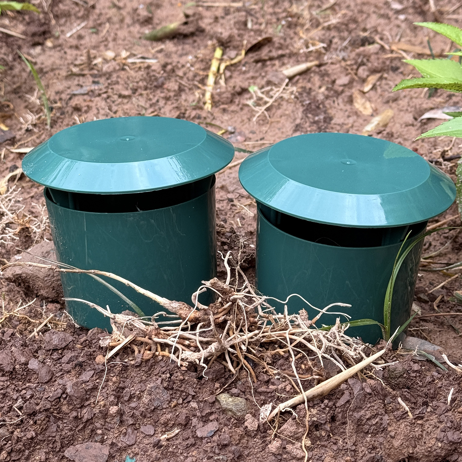 1-12pcs Eco-friendly Slug Hous - Gardening Tools Toolstation 评论和价格