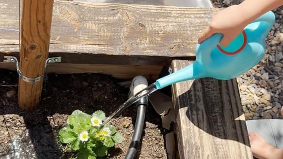 Eco-Friendly Watering Can with - Watering Can Long Spout 评论和价格