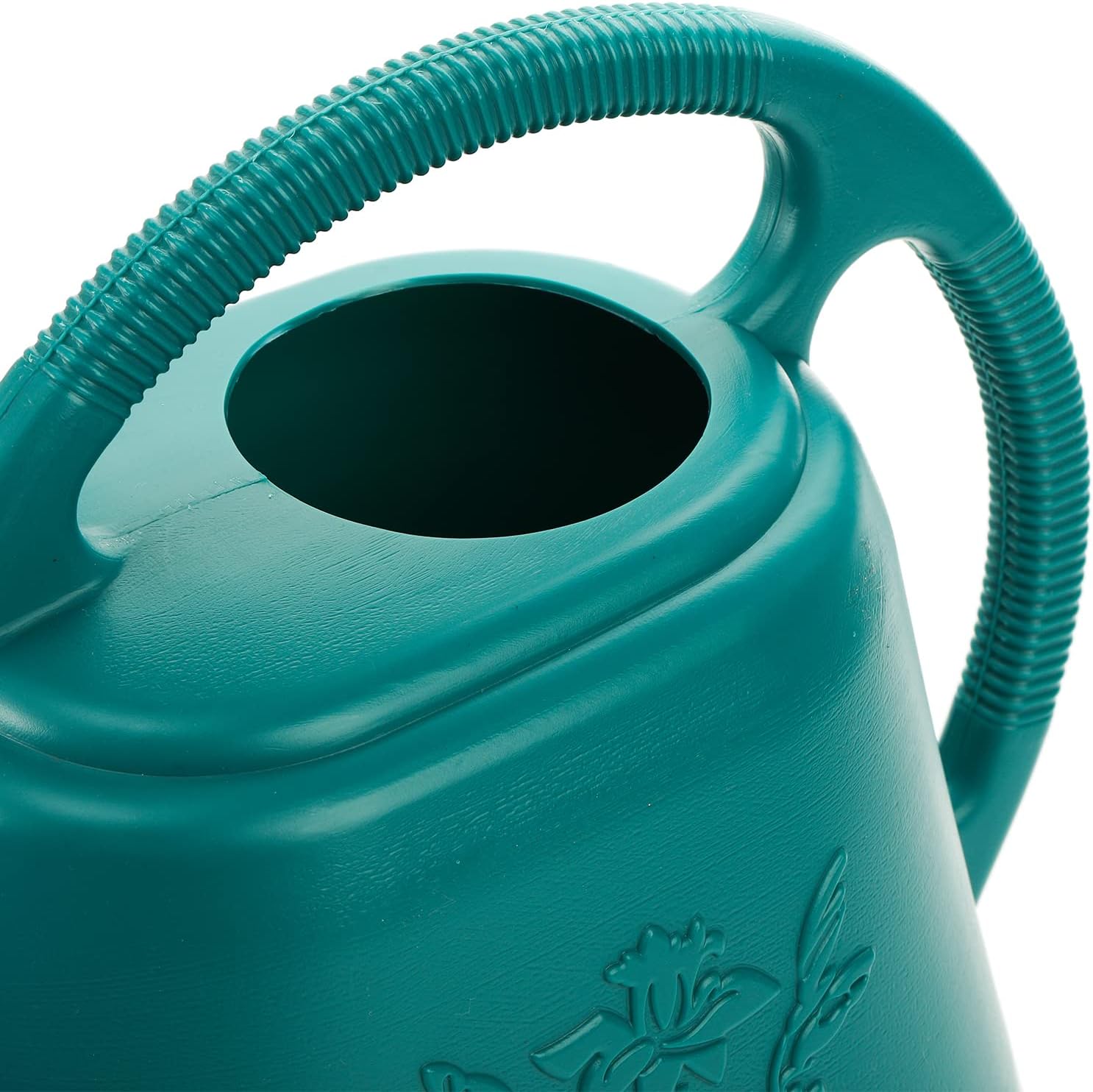 1-Gallon Plastic Watering Can  - Watering Can Long Spout 评论和价格