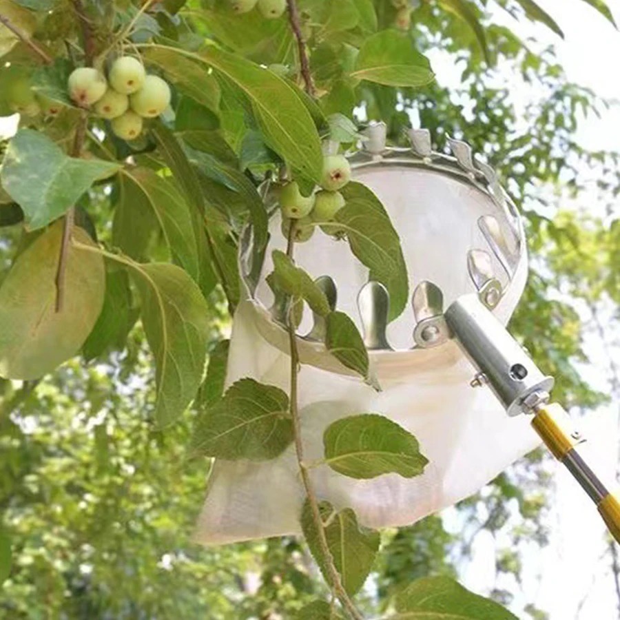 Professional Berry Picker Tool - Gardening Tools Rack 评论和价格
