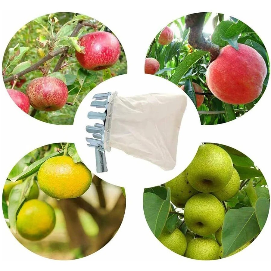 Professional Berry Picker Tool - Gardening Tools Rack 评论和价格
