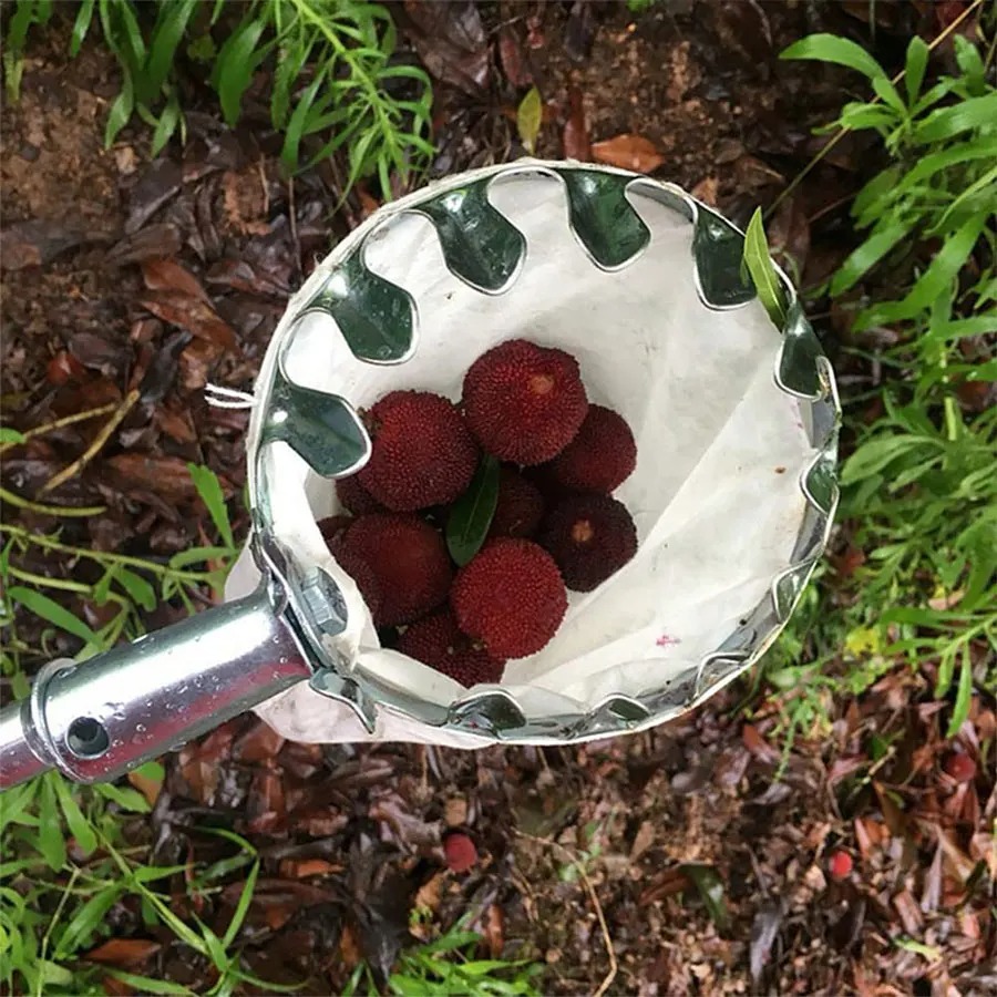 Professional Berry Picker Tool - Gardening Tools Rack 评论和价格