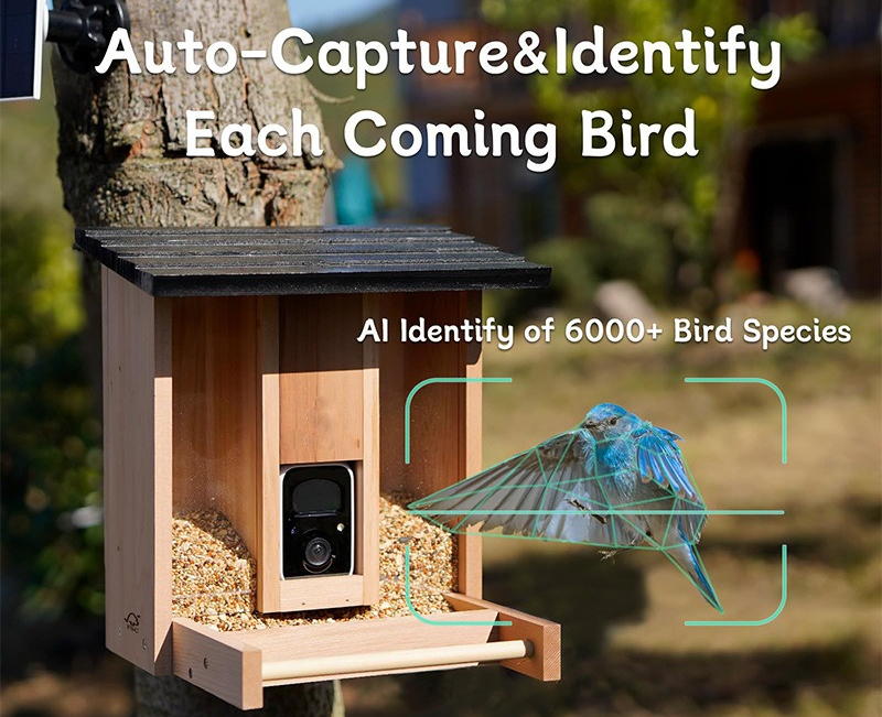Bamboo wood intelligent bird f - Gardening Tools Definition 评论和价格