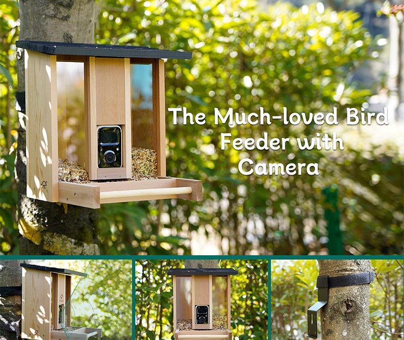 Bamboo wood intelligent bird f - Gardening Tools Definition 评论和价格