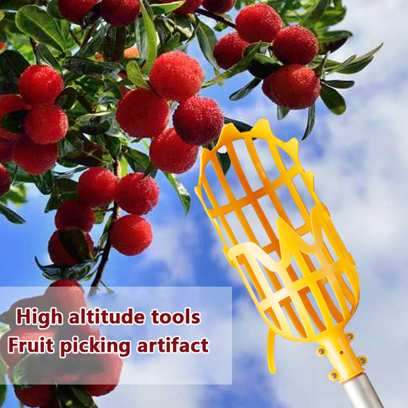 Fruit Picker Picking Loquat Pi - Gardening Tools Rack 评论和价格