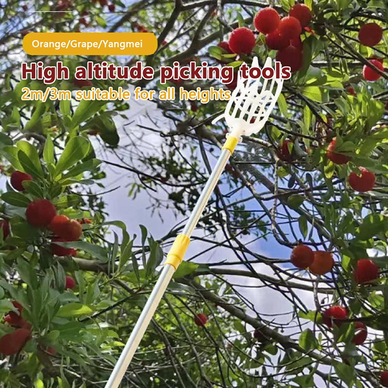 Fruit Picker Picking Loquat Pi - Gardening Tools Rack 评论和价格