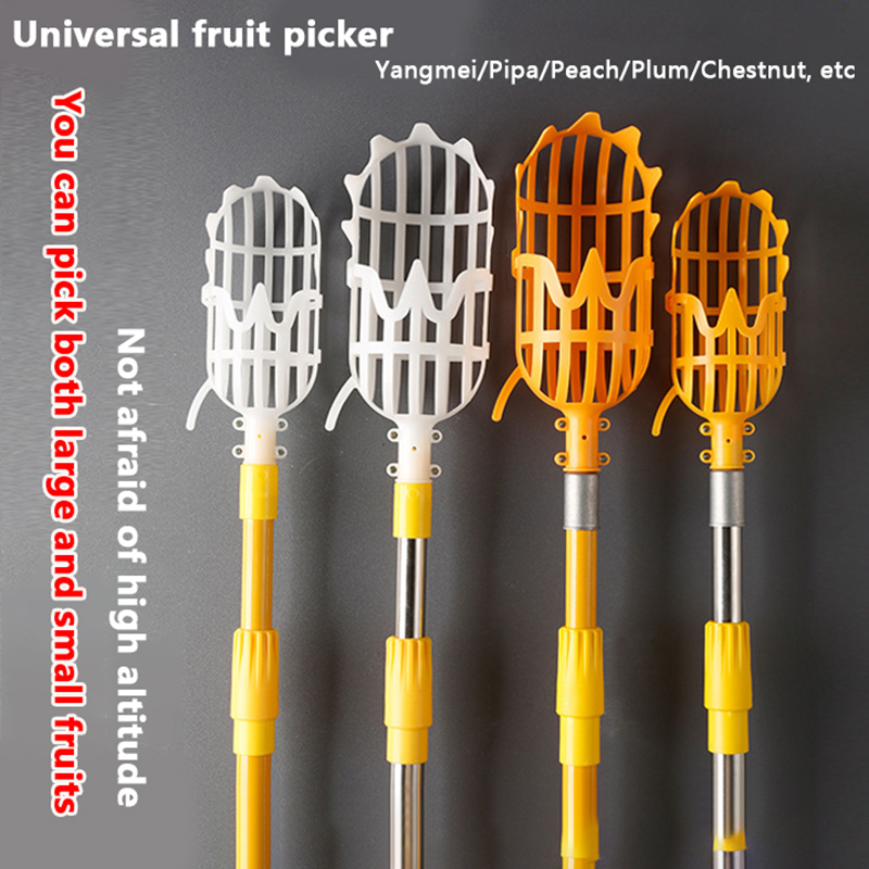 Fruit Picker Picking Loquat Pi - Gardening Tools Rack 评论和价格