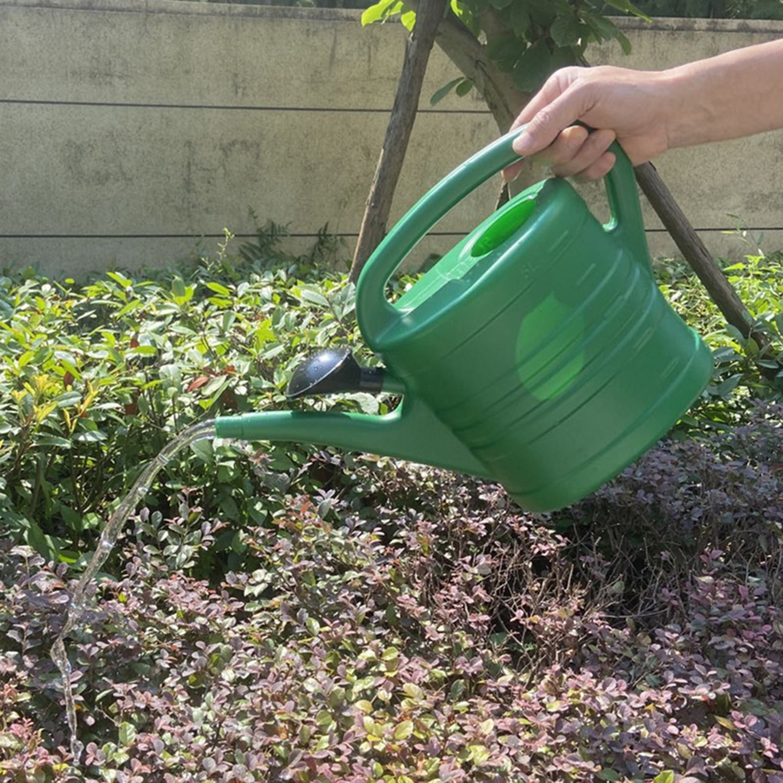 Garden Watering Can with Long  - Watering Can Long Spout 评论和价格