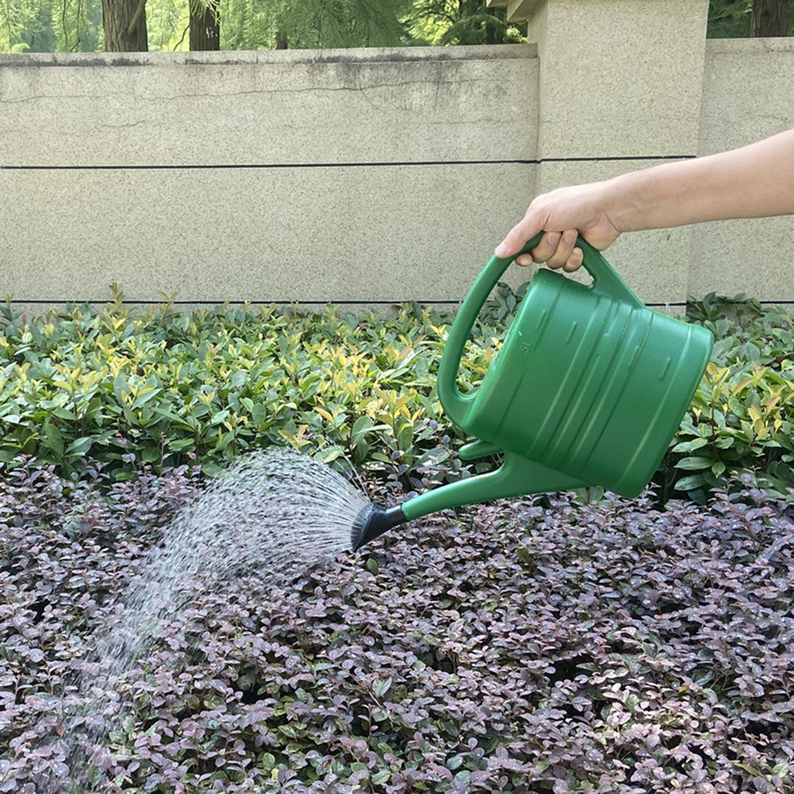 Garden Watering Can with Long  - Watering Can Long Spout 评论和价格