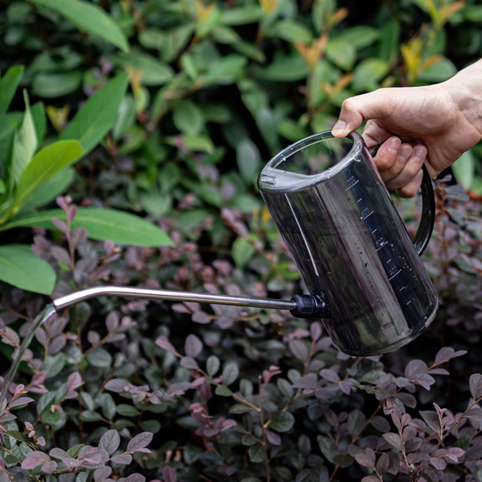 Long Spout Watering Can Indoor - Watering Can Long Spout 评论和价格