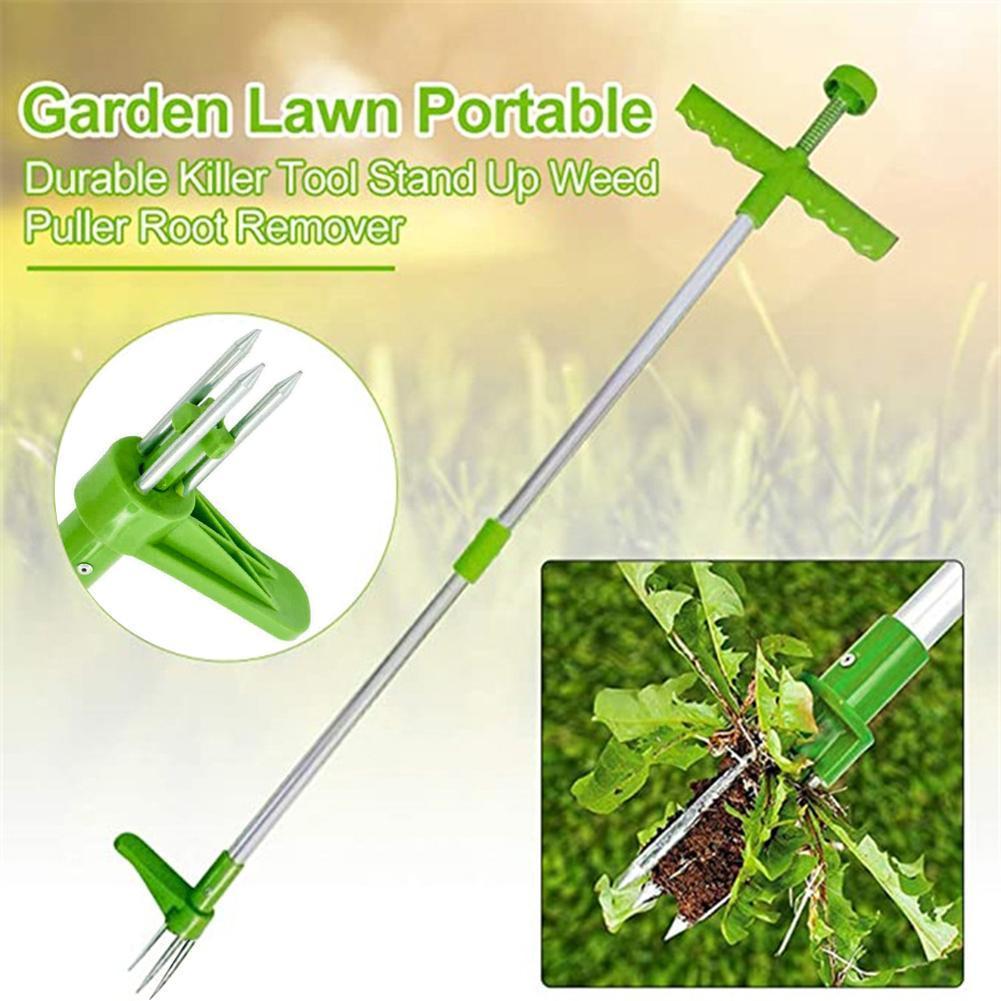 Long Handle  Remover Garden La - Gardening Tools To Remove Grass 评论和价格